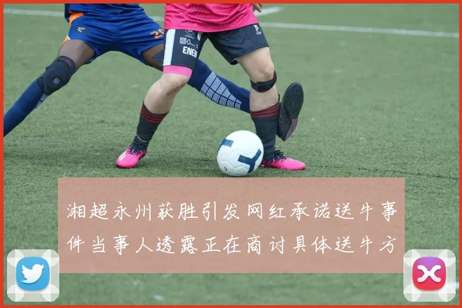 湘超永州获胜引发网红承诺送牛事件当事人透露正在商讨具体送牛方案