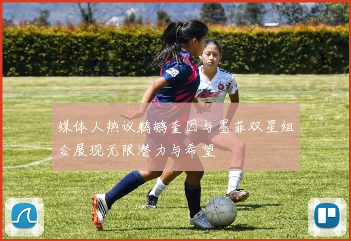 媒体人热议鹈鹕奎因与墨菲双星组合展现无限潜力与希望