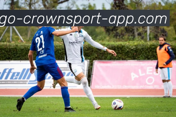 皇冠体育平台生态图